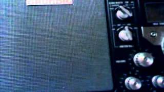 Odd sounds on shortwave [upl. by Ahsekel953]