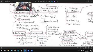 REPASO QUIMICA ORGANICA 3 CARBOHIDRATOS [upl. by Kathryne]