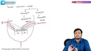 21 Arterial Development amp Anomalies🫀✨  Embryology 🩺 [upl. by Zachar]