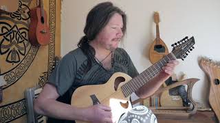 Celtic jam on the Avante by Veillette Gryphon 12 string [upl. by Gnirol]