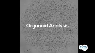 Introducing the Organoid Analysis Module [upl. by Abert947]