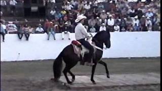 CABALLO JUAN COLORADO DE LA PLAZA DE TOROS VIVA AUTLAN [upl. by Herwick]