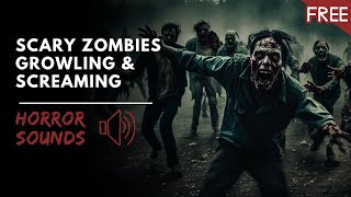 Scary Zombies Growling Screeching Screaming  Chilling Horror Sound Effects FREE [upl. by Ahseeyt]