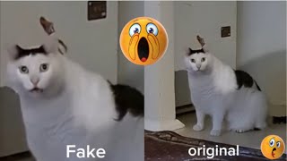 Huh huh fake vs original [upl. by Ykroc]