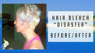 Hair bleach quotdisasterquot BEFOREAFTER Along with my cute parrots [upl. by Aisined]