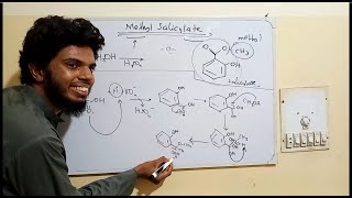 Methyl Salicylate synthesis mechanism [upl. by Armbruster]