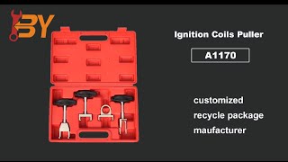 How to use the Ignition Coils Puller Set [upl. by Emiatej]