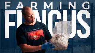 Fungi Farmers Growing Powerful Mushrooms  PARAGRAPHIC [upl. by Hares]