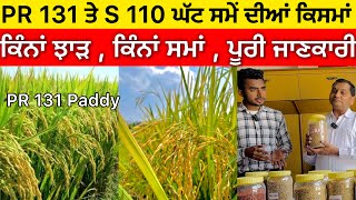 PR 131 Paddy variety amp Supreme 110 Paddy ਕਿੰਨਾਂ ਝਾੜ ਕਿੰਨਾ ਸਮਾਂ [upl. by Daffy]