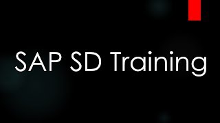 SAP ECC SD Training  Introduction to ERP and SAP SD Video 1  SAP SD Sales and Distribution [upl. by Odicalp]