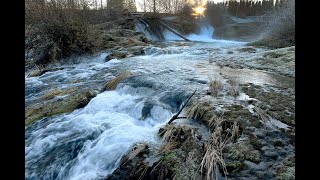 Cold snap paints a winter picture at Tumwater Falls Park [upl. by Shields160]