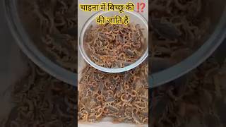 scorpion farming in china most amazing facts about scorpions shorts [upl. by Zilevi]