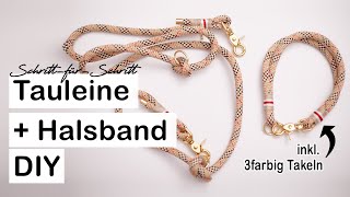 DIY Tauleine  Tauhalsband für Hunde  SchrittfürSchritt Anleitung [upl. by Xonel396]