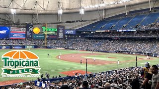 Going To A Game At Tropicana Field Tampa Bay Rays Stadium [upl. by Laehpar]