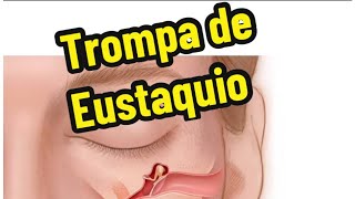 Trompa de Eustaquio [upl. by Ojoj]