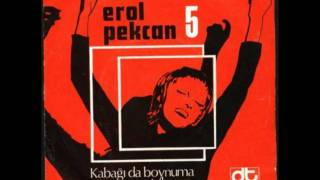 Erol Pekcan 5  Nihavent Longa [upl. by Ellinet]