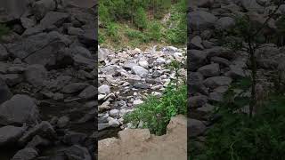 Beauty of marghuzar swatvalley viralvideo viralshort youtubeshorts cat nature [upl. by Yatnuahs270]