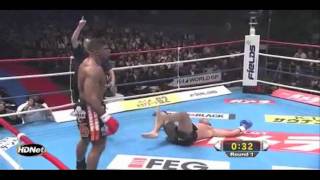 Alistair Overeem Highlight [upl. by Flemming]