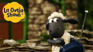 La Oveja Shaun 🐑 Ovejas a control remoto 🐑 Dibujos animados para niños [upl. by Benedic]