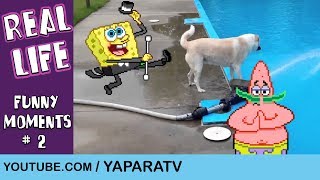 Funny moments  2  SpongeBob in real life [upl. by Eiramrebma]