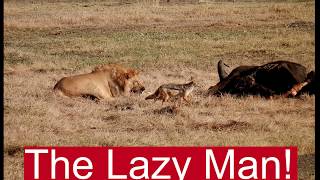 How to Become Active  Story of a Lazy Man  BARAREE jharia DHANBAD  INDIA [upl. by Thalassa]