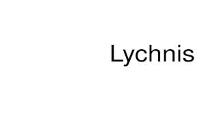 How to pronounce Lychnis [upl. by Gordy921]