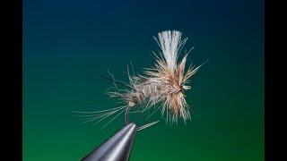 Fly Tying the Bedraggled Emerger fly with Barry Ord Clarke [upl. by Arinaid217]