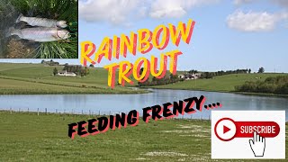 Video 20  Traditional Wet Flies Score with Rainbow Trout  Fedderate Reservoir [upl. by Gasparo160]