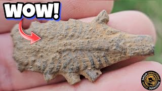 Rare Roman Artefacts UncoveredMetal Detecting UK [upl. by Nauh]