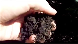 Introduction to Soil Texture [upl. by Salamanca]