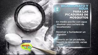 Bicarbonato y agua para las picaduras de mosquitos [upl. by Kalinda762]