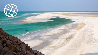 Socotra Yemen Amazing Places 4K [upl. by Reniti]