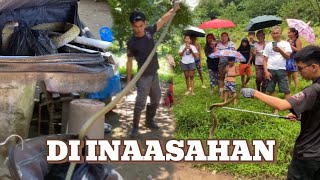 DALIAN PINUNTAHAN ANG KING COBRA NA PUMASOK SA BAHAY cobraprince cobrarescue [upl. by Lilithe]