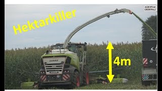 Der Hektarkiller im 4 m hohen Sudangras  Claas Jaguar 990  Lohnunternehmen Schicker  cabview [upl. by Anigue468]