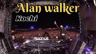 Sunburn arena🔥Alan walker in Kochi oct 6 2024 [upl. by Enileda]