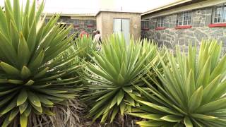 Robben Island [upl. by Brady]