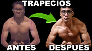 ¿Quieres unos TRAPECIOS más GRANDES y FUERTES Checa los Ejercicios y RUTINA para conseguirlos [upl. by Oile555]