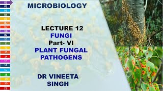 Understanding Plant Fungal Pathogens and Their Management [upl. by Nort]