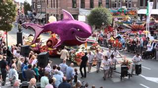 Verslag Bloemencorso Dendermonde TVOost 2012 [upl. by Brouwer234]