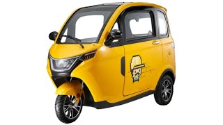 3 wheel eec coc electric tricycle car enclosed cabin Factory Price three wheeler trike passenger [upl. by Nalla382]