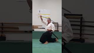 Ukenagashi amp Aiki 2 martialarts kenjutsu aikido katana iaido [upl. by Cila]