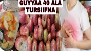 QORICHA KALEE GUYYAA 40 ALA TURSIIFNA DIRQAMA [upl. by Ymmor780]