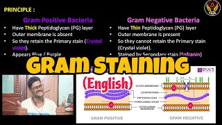 Gram Staining English  Microbiology  Principle amp Procedure  ThiNK Biology [upl. by Franciscka]