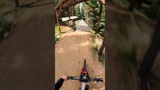 The Gnarliest Public MTB Trail ✊🏼✊🏼 [upl. by Narual]