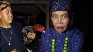 SERANGAN GAWAT TOMPEL DISIHIR JADI AYAM [upl. by Deehsar]