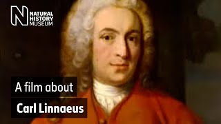 A film about Carl Linnaeus  Natural History Museum [upl. by Lalib]