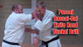 Practical Kata Bunkai Passai  BassaiDai Knife Hand Drill [upl. by Mord]