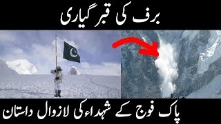 Siachin and The Gayari Sector  Glacier  Urdu Documentary [upl. by Ettegroeg]