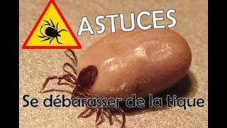 ASTUCES SE DEBARASSER DES TIQUES ACARIENS SANGUINAIRES [upl. by Nnahgaem]