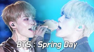 BTS  봄날 Spring Day fea ARMY 떼창 fanchant  LED FANCAM  LOTTE FAMILY CONCERT 2018  방탄소년단 180622 [upl. by Oelak]